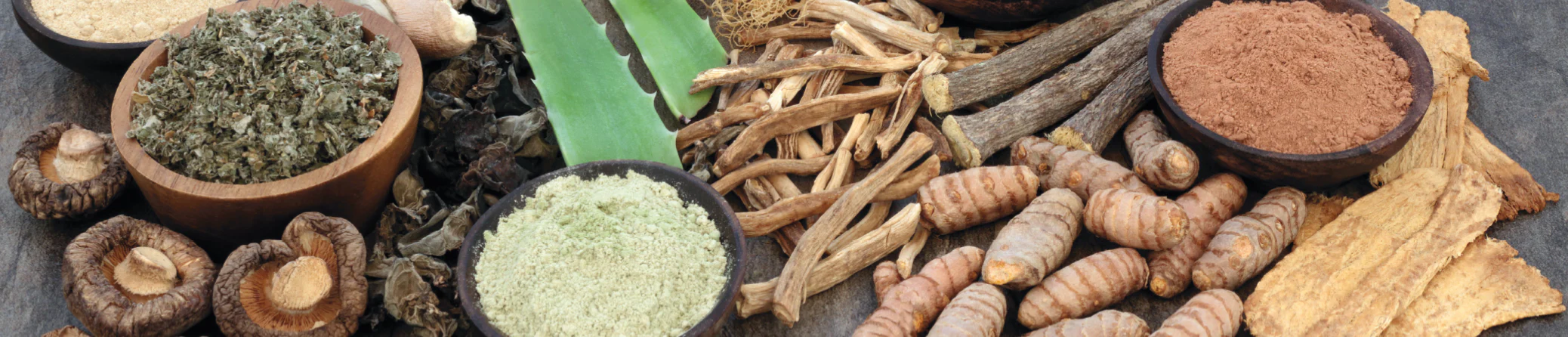 Natural Wellness, Rooted in Tradition